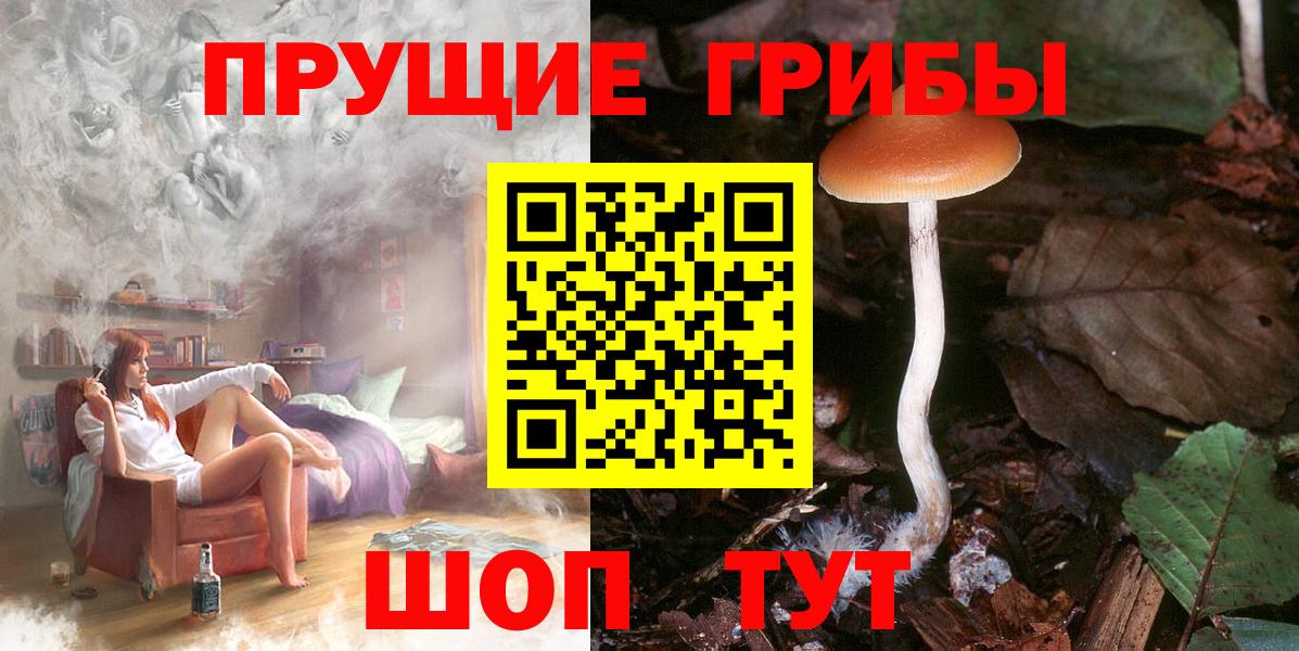 Псилоцибиновые грибы Psilocybe  Вход с VPN  Югорск 